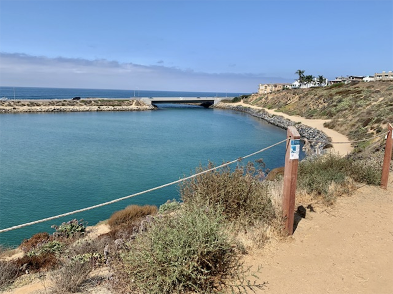 North Shore Hubbs trail