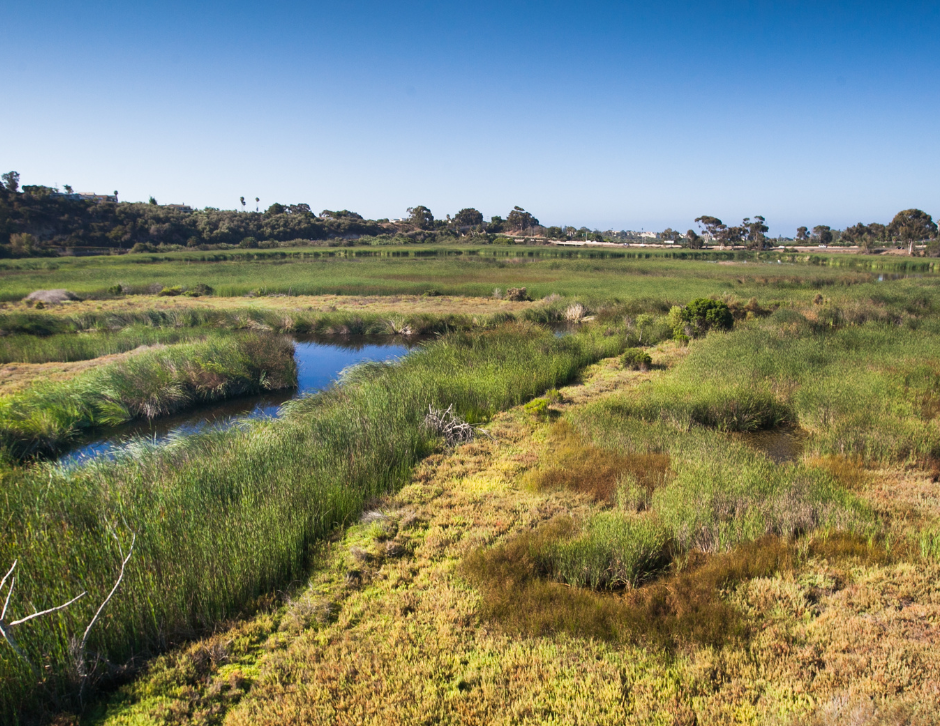 Buena Vista lagoon