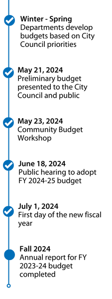 Budget timeline for web