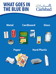 What goes in the blue bin poster