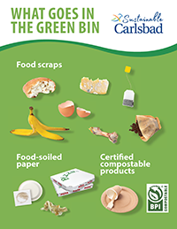 What goes in the green bin poster