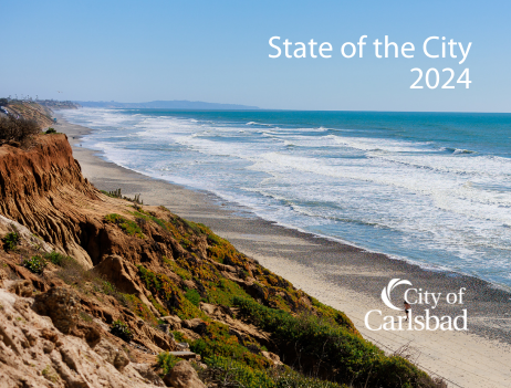 2024 State of the City 462x351 (2)