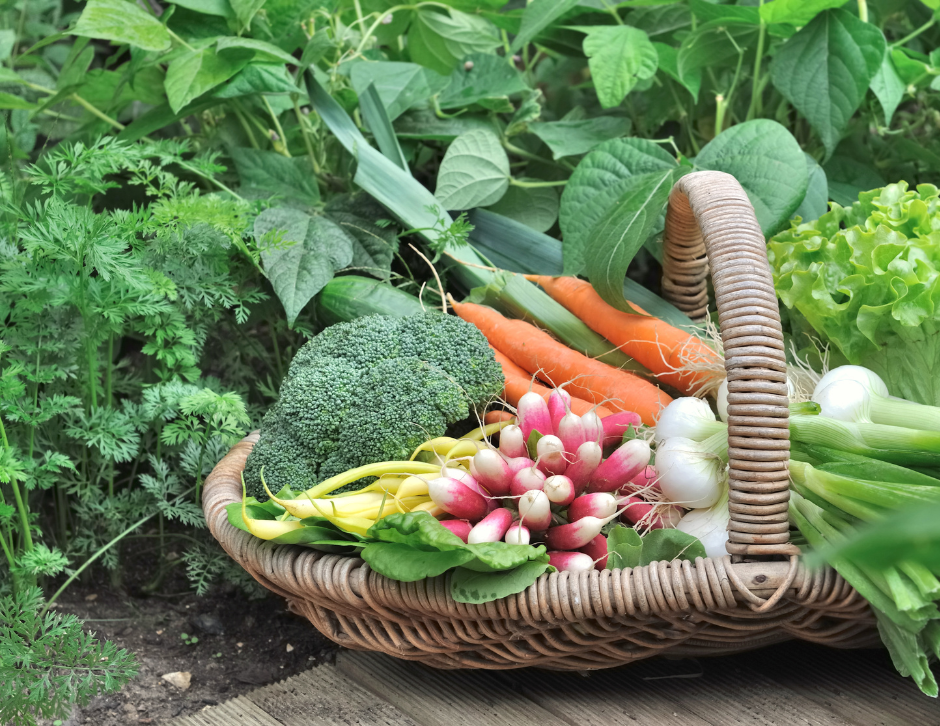 Fall gardening