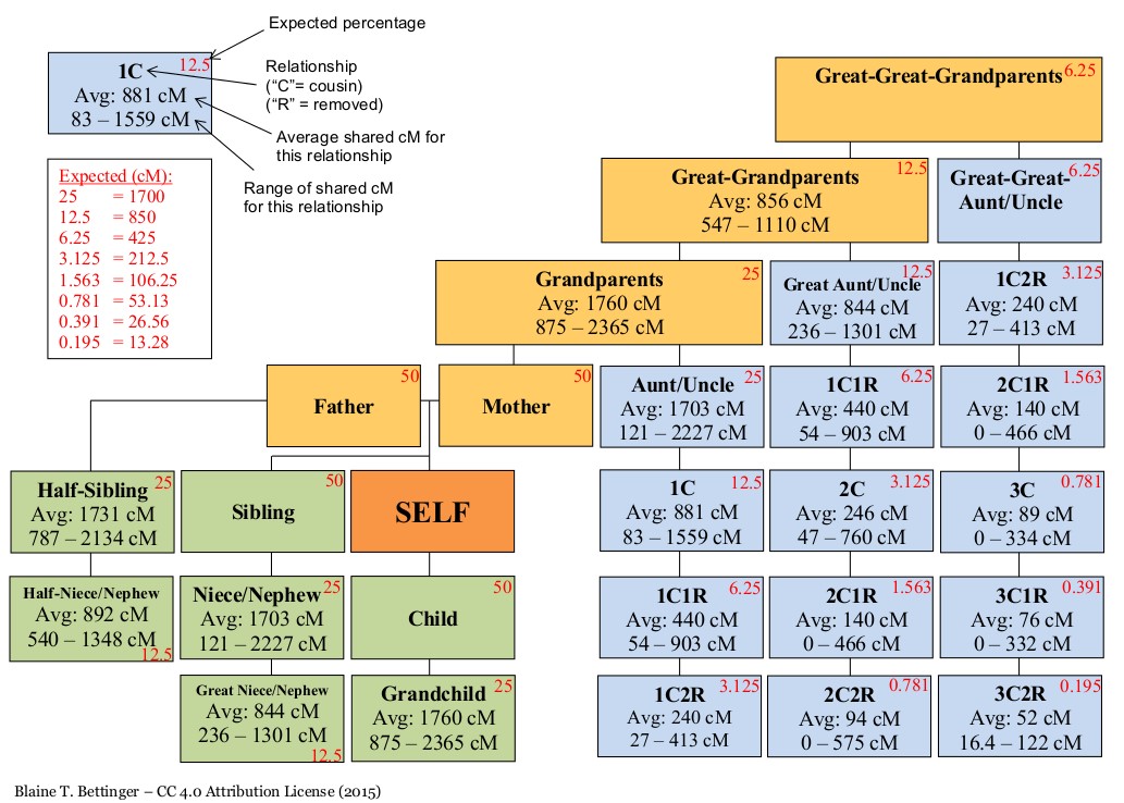 thumbnail_DNAFoundations_Shared-cM-Relationship-Tree