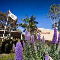 city  hall