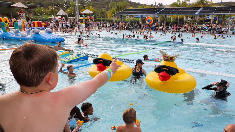 Aloha Plunge pool games