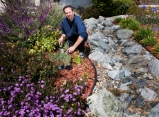 Man gardening